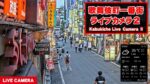 第1メトロビル付近から歌舞伎町一番街のライブカメラ|東京都新宿区のサムネイル