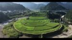 あらぎ島のライブカメラ|和歌山県有田川町のサムネイル