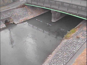 静岡県焼津市 黒石川 小川新町のライブカメラ