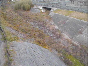 静岡県掛川市 西大谷川 西大渕地先のライブカメラ