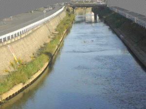 静岡県静岡市 巴川 安東川合流点のライブカメラ