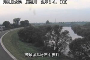 茨城県常総市 鬼怒川 中妻町地先のライブカメラ