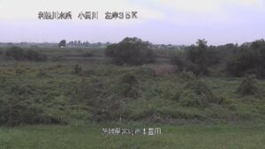 茨城県常総市 小貝川 常総市本豊田地先のライブカメラ