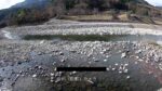 庄川 荻町のライブカメラ|岐阜県白川村のサムネイル