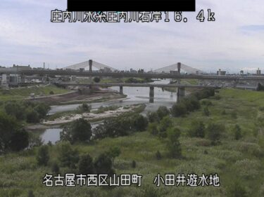 庄内川 小田井遊水地のライブカメラ|愛知県名古屋市のサムネイル