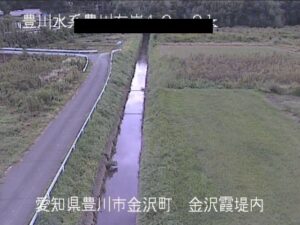 愛知県豊川市 豊川 金沢霞堤内付近のライブカメラ