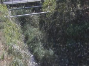 滋賀県大津市 滝川 JR上流橋のライブカメラ