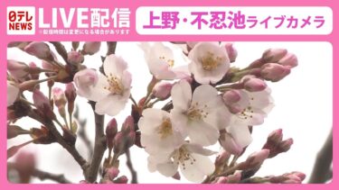 上野・不忍池のライブカメラ|東京都台東区のサムネイル