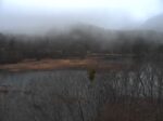 観音沼森林公園のライブカメラ|福島県下郷町のサムネイル