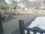 上杉神社のライブカメラ|山形県米沢市のサムネイル