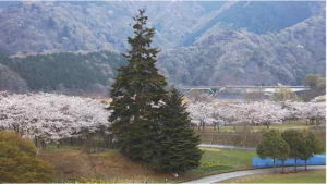 神奈川県清川村 宮ヶ瀬やまなみセンターから見る宮ヶ瀬湖のライブカメラ