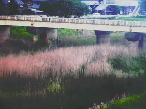 三重県伊賀市 木津川 上神戸(暗崎橋)のライブカメラ