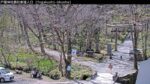 戸隠神社奥社参道入口のライブカメラ|長野県長野市のサムネイル