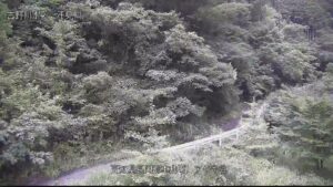 高知県本山町 アキヤ谷のライブカメラ