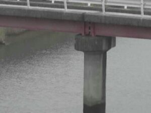 高知県高知市 舟入川 鹿児排水機場のライブカメラ