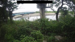 高知県安芸市 伊尾木川 鉄道橋高架下のライブカメラ