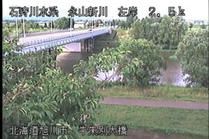 北海道旭川市 永山新川 牛朱別大橋のライブカメラ