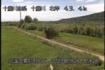 十勝川 千代田新水路右岸のライブカメラ|北海道幕別町のサムネイル