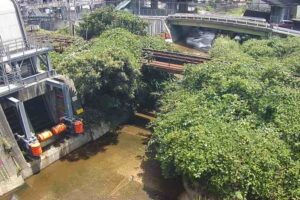 広島県広島市 矢口川 水門のライブカメラ