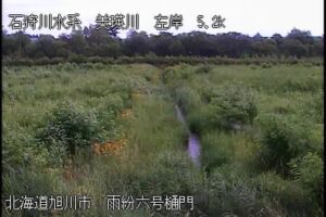 北海道旭川市 美瑛川 雨紛六号樋門のライブカメラ