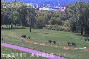 北海道旭川市 忠別川 旭川大橋上流右岸のライブカメラ