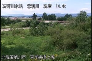 北海道旭川市 忠別川 東神楽橋上流のライブカメラ