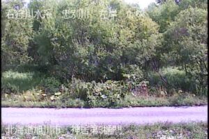 北海道旭川市 忠別川 神居第3樋門のライブカメラ