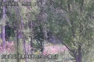 北海道東神楽町 忠別川 志比内橋のライブカメラ