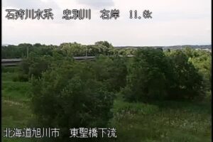 北海道旭川市 忠別川 東聖橋下流のライブカメラ