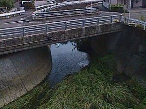 宮崎県宮崎市 小松川 小松川放水路のライブカメラ