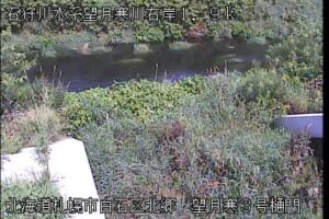 北海道札幌市 望月寒川 望月寒3号樋門のライブカメラ
