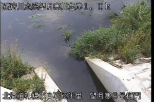 北海道札幌市 望月寒川 望月寒6号樋門のライブカメラ