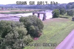 北海道むかわ町 鵡川 旭生橋左岸のライブカメラ