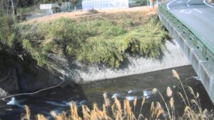 大分県竹田市 芹川 桑畑橋のライブカメラ