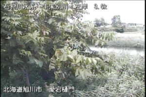 北海道旭川市 牛朱別川 愛宕樋門のライブカメラ