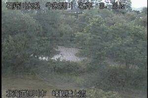 北海道旭川市 牛朱別川 峰観橋上流のライブカメラ