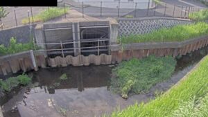 埼玉県さいたま市 鴻沼排水路 鴻沼川41条橋観測局のライブカメラ