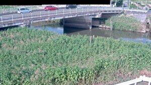 埼玉県杉戸町 中川 船渡観測局のライブカメラ