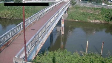 中川 牛島観測局のライブカメラ|埼玉県春日部市のサムネイル