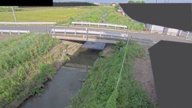 忍保川 大橋観測局のライブカメラ|埼玉県上里町のサムネイル
