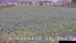 新潟県上越市 関川 高田公園南堀のライブカメラ