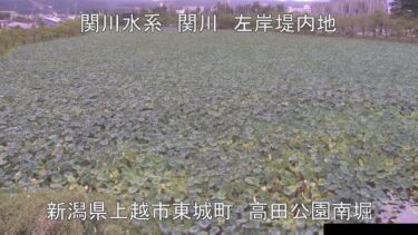 関川 高田公園南堀のライブカメラ|新潟県上越市のサムネイル