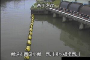 新潟県新潟市 信濃川 西川排水機場のライブカメラ