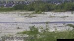 高瀬川 林中のライブカメラ|長野県池田町のサムネイル