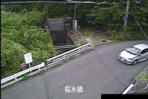 新潟県新潟市 鳥屋野潟 桜木橋のライブカメラ
