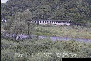 新潟県魚沼市 魚野川 橋場川樋管周辺のライブカメラ