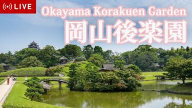 岡山後楽園のライブカメラ|岡山県岡山市のサムネイル