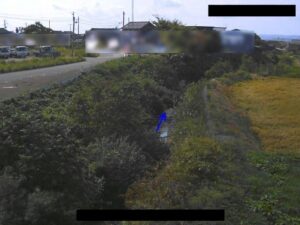 新潟県佐渡市 大野川 新穂大野のライブカメラ