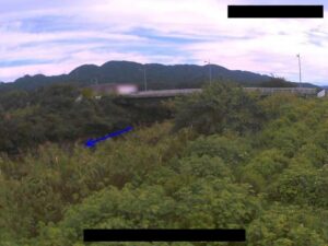 新潟県柏崎市 鯖石川 下加納のライブカメラ