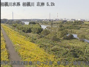 神奈川県寒川町 相模川 寒川第一樋管下流のライブカメラ